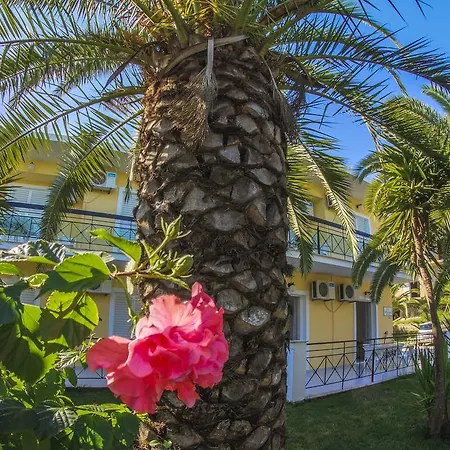 Olive Grove Apts Apartament