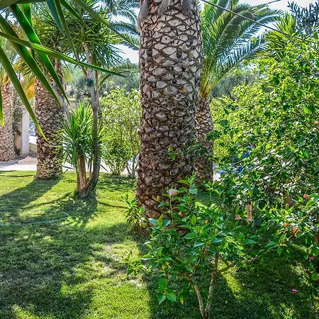 Olive Grove Apts * Lithakiá